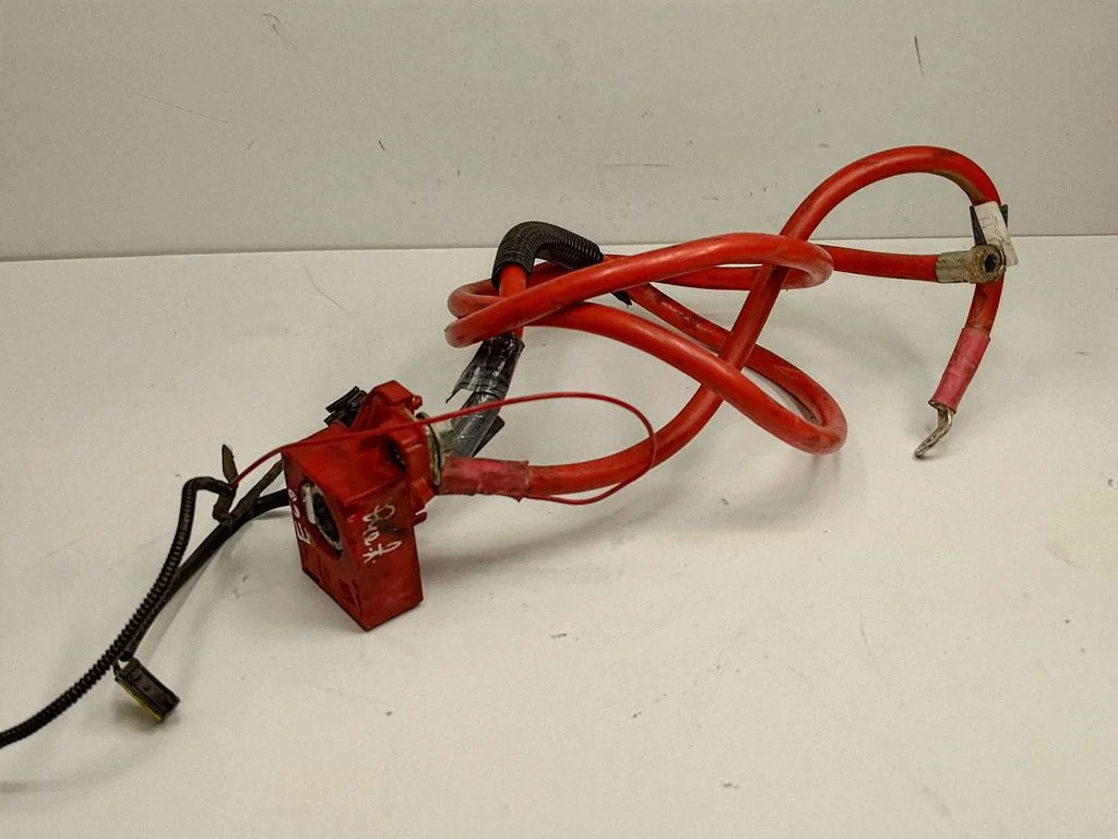 Positive cable (battery) 6989780