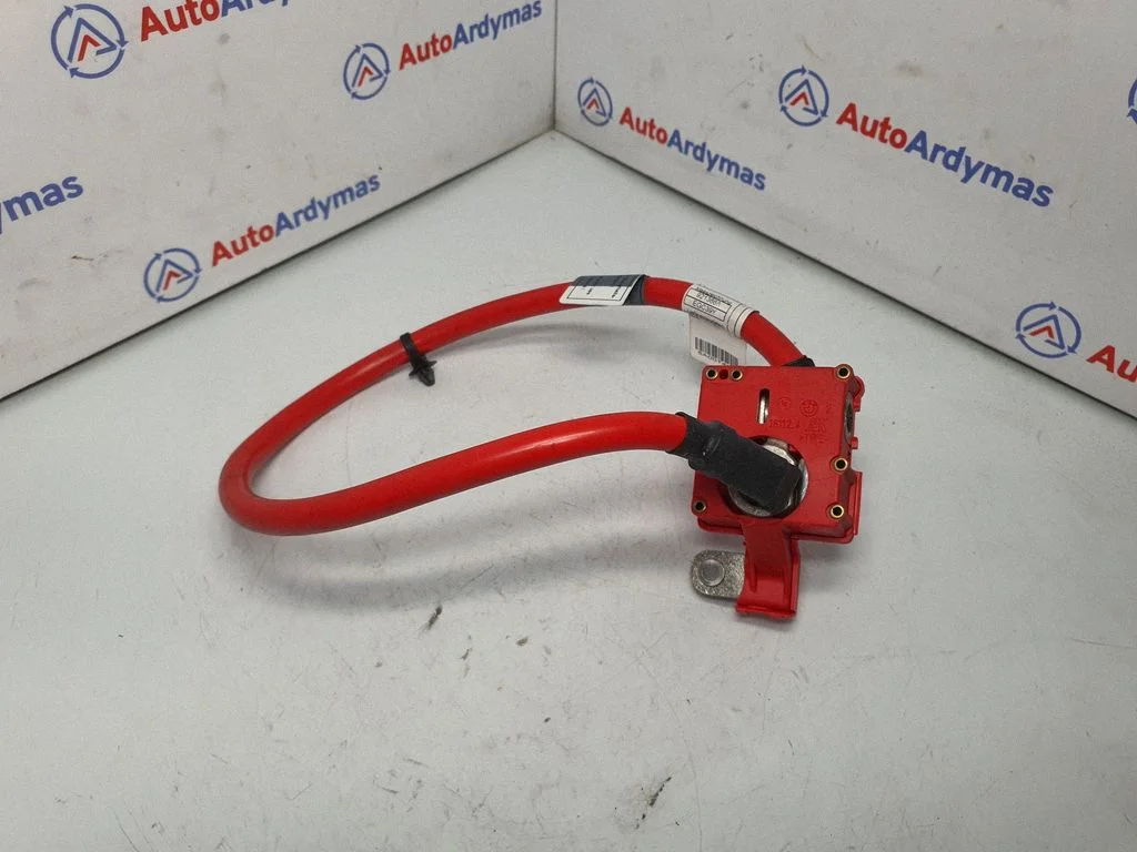 Positive cable (battery) 9225099