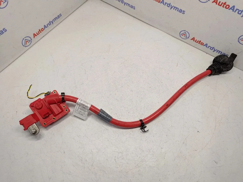Positive cable (battery) 9217036