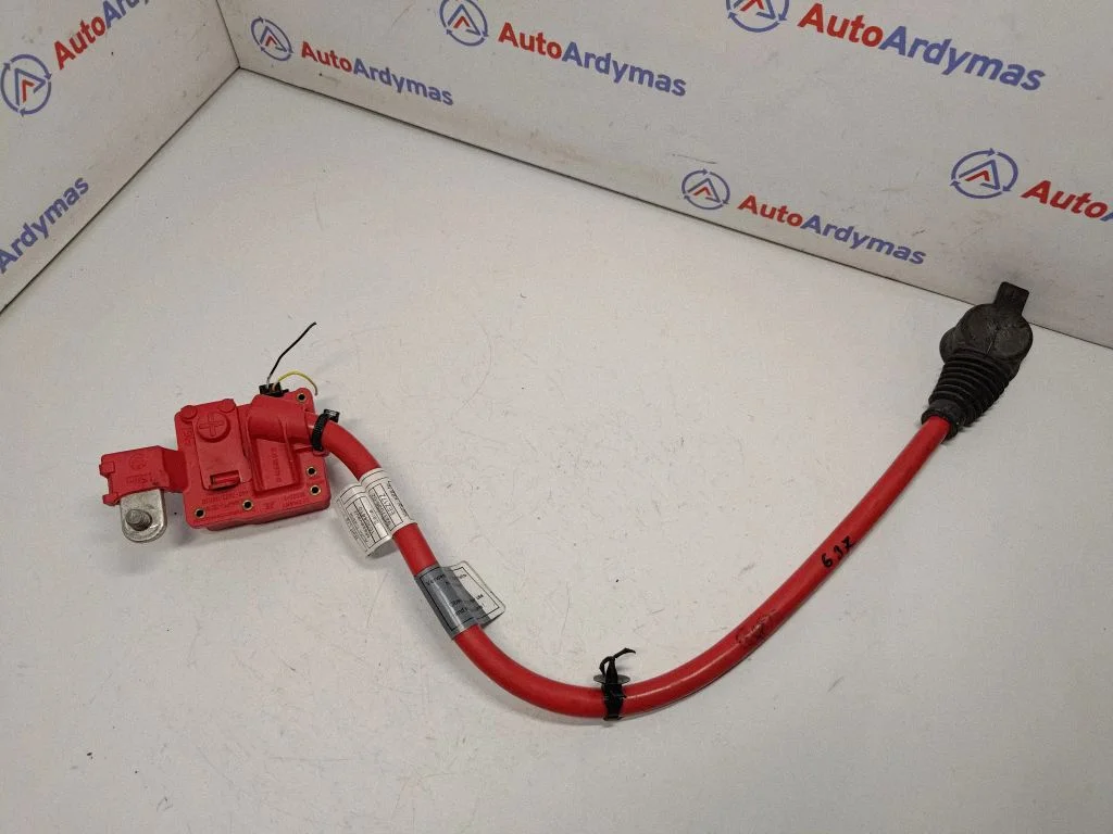 Plusa vads (akumulatora) 9217036