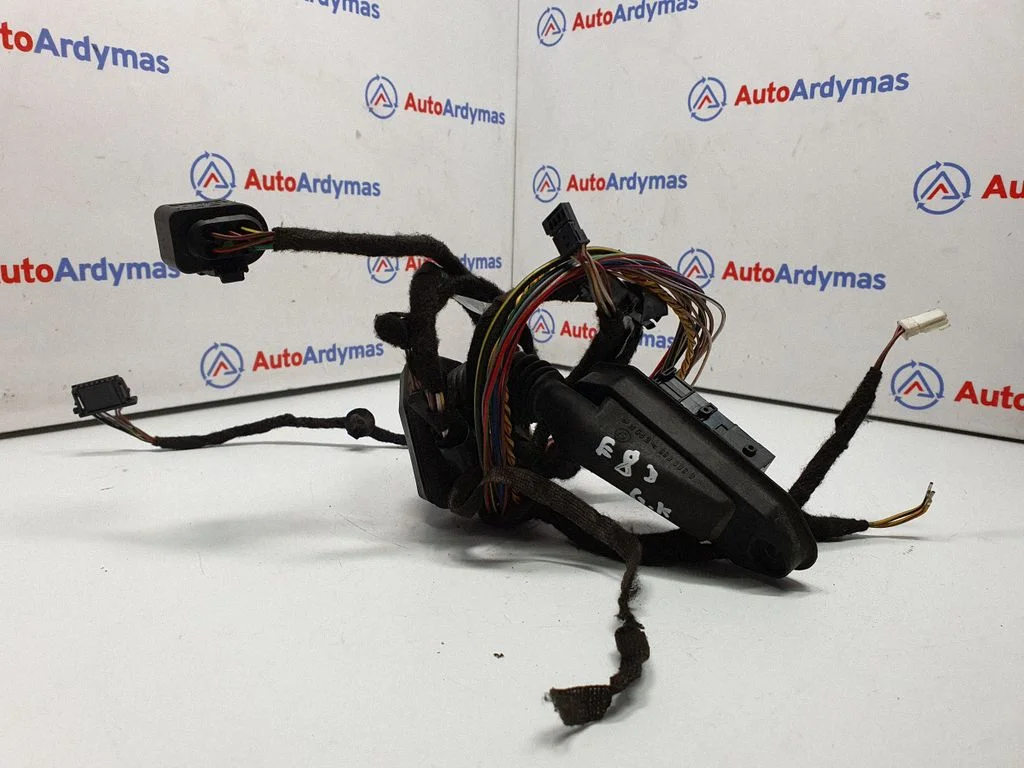 Aizmugurējo durvju vadu instalācija 3450857