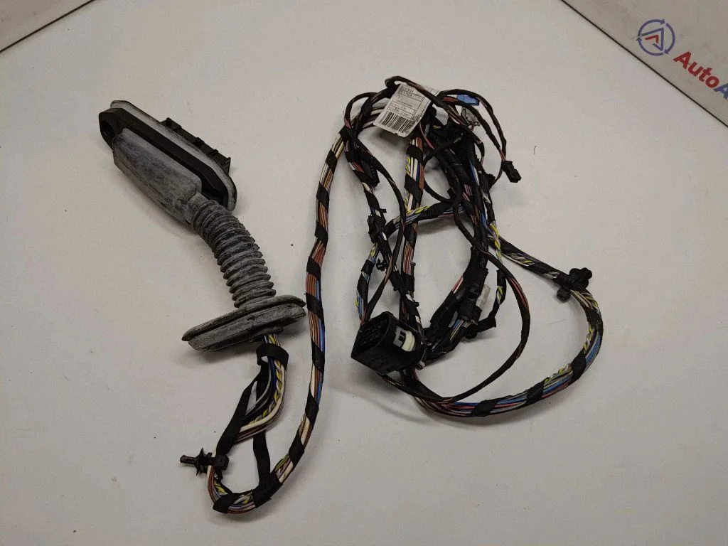 Rear door wiring loom 9243667