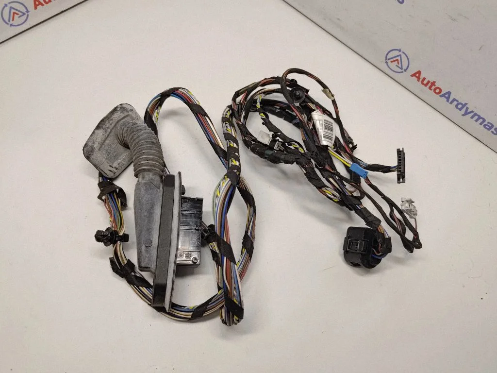 Rear door wiring loom 9243667