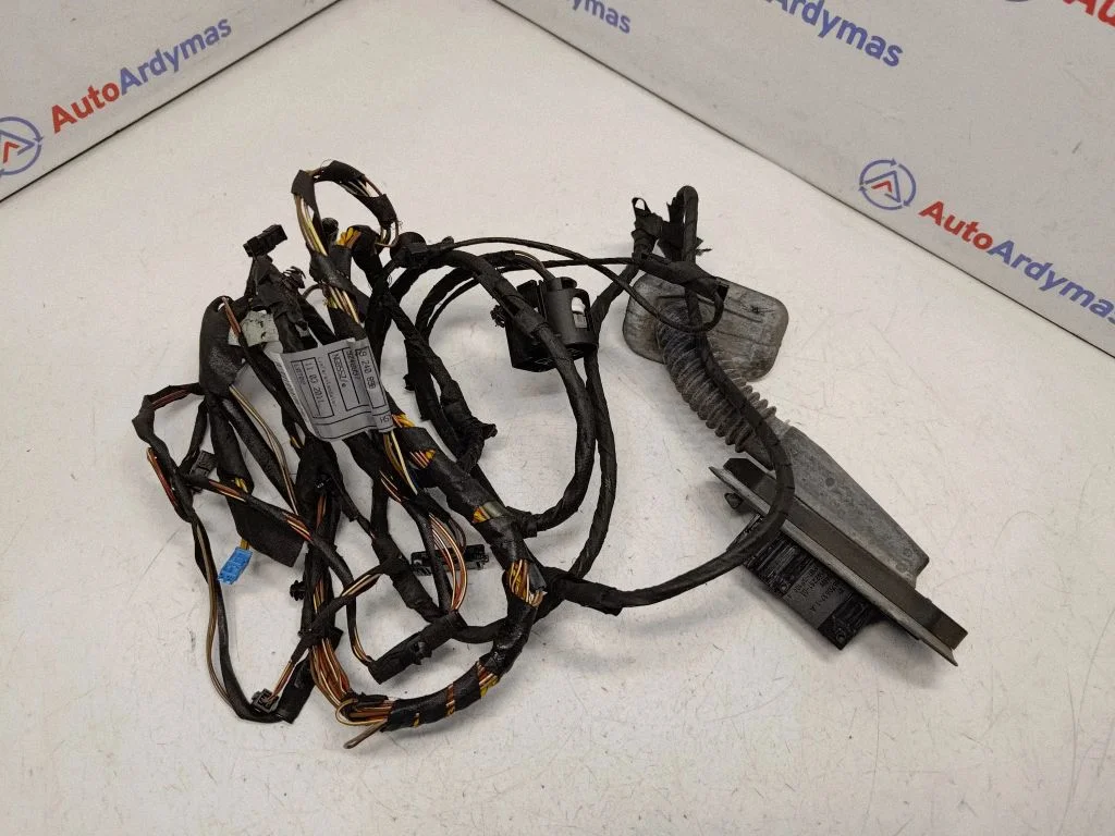 Wiązka drzwi tylnych 9240898