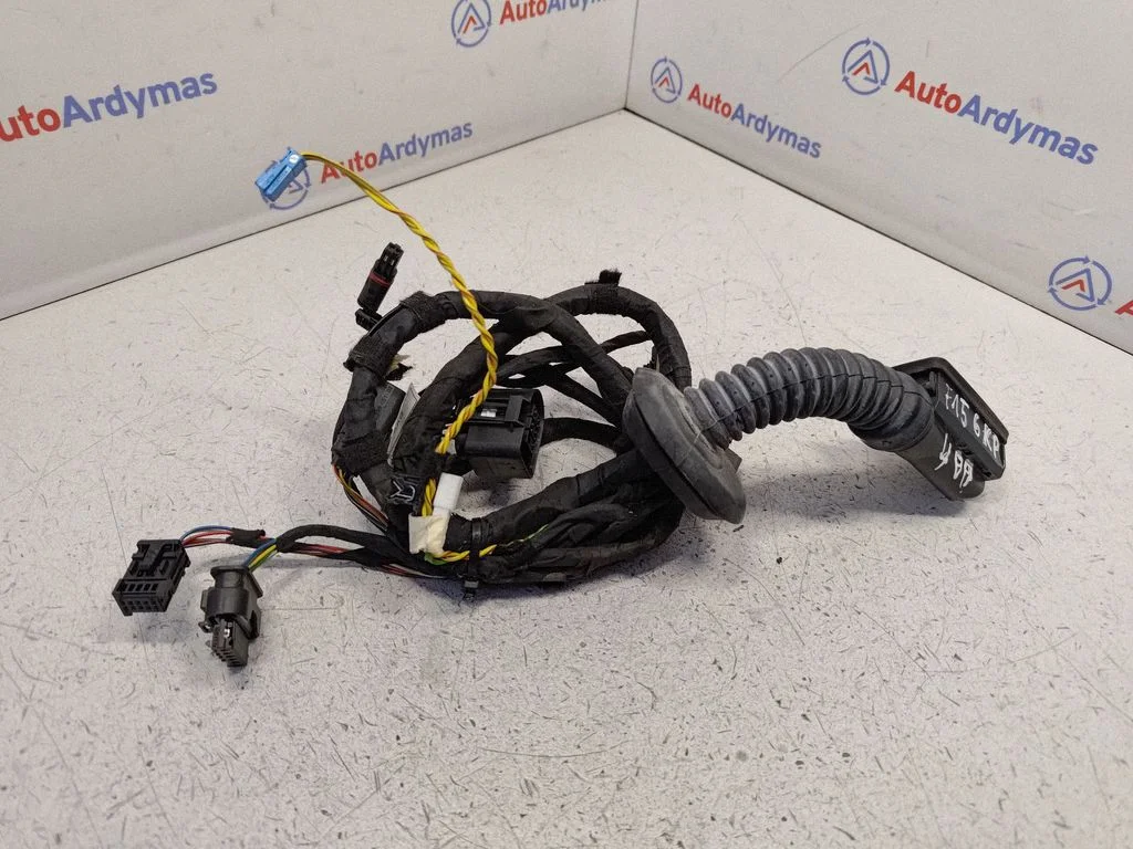 Aizmugurējo durvju vadu instalācija 9365823