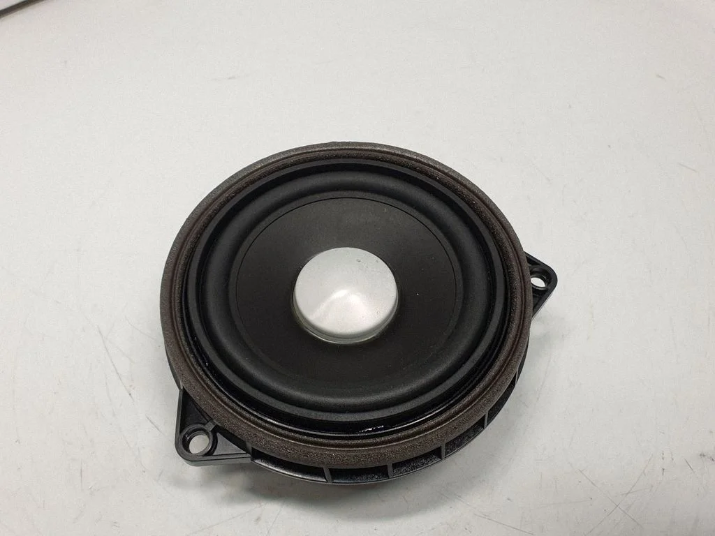 Front door speaker 9289965