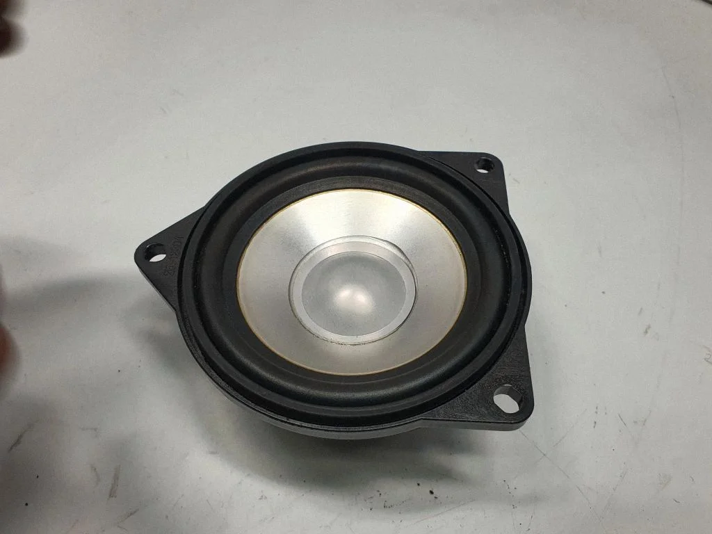 Front door speaker 6930903
