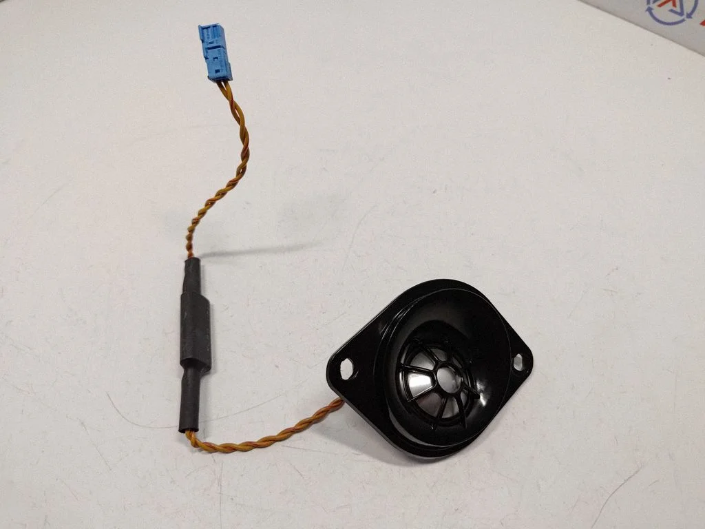 Panel speaker 65139184795