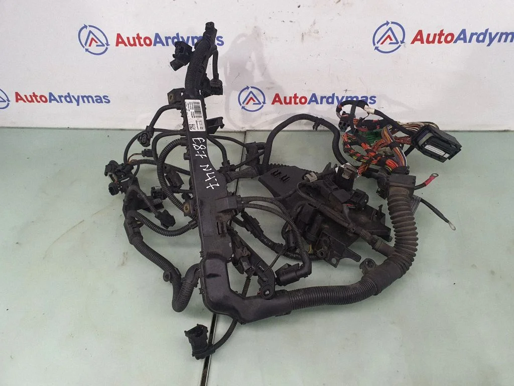 Engine installation wiring loom 12517810213