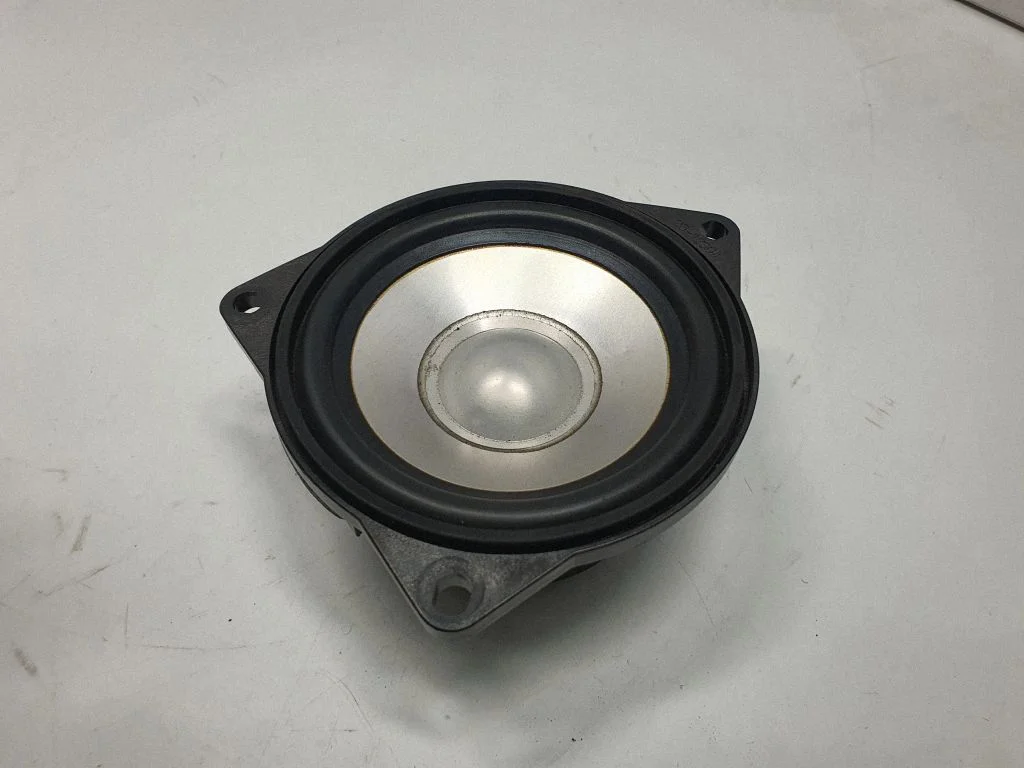 Rear door speaker 6930903