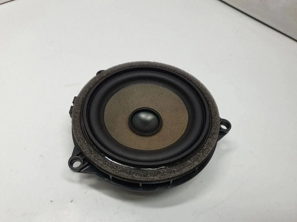Rear door speaker 9264944