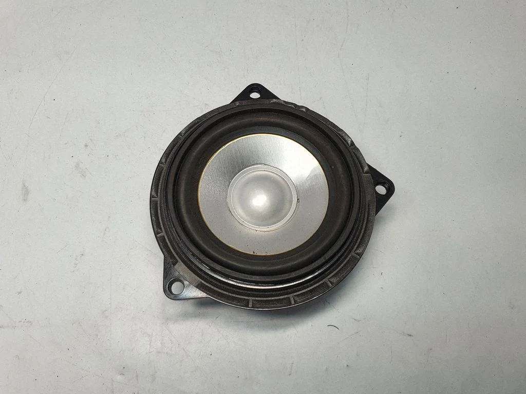 Rear door speaker 6922215