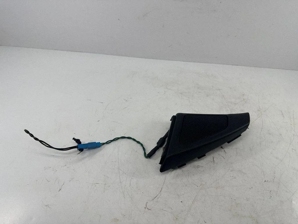 Front door high frequency speaker 7199299