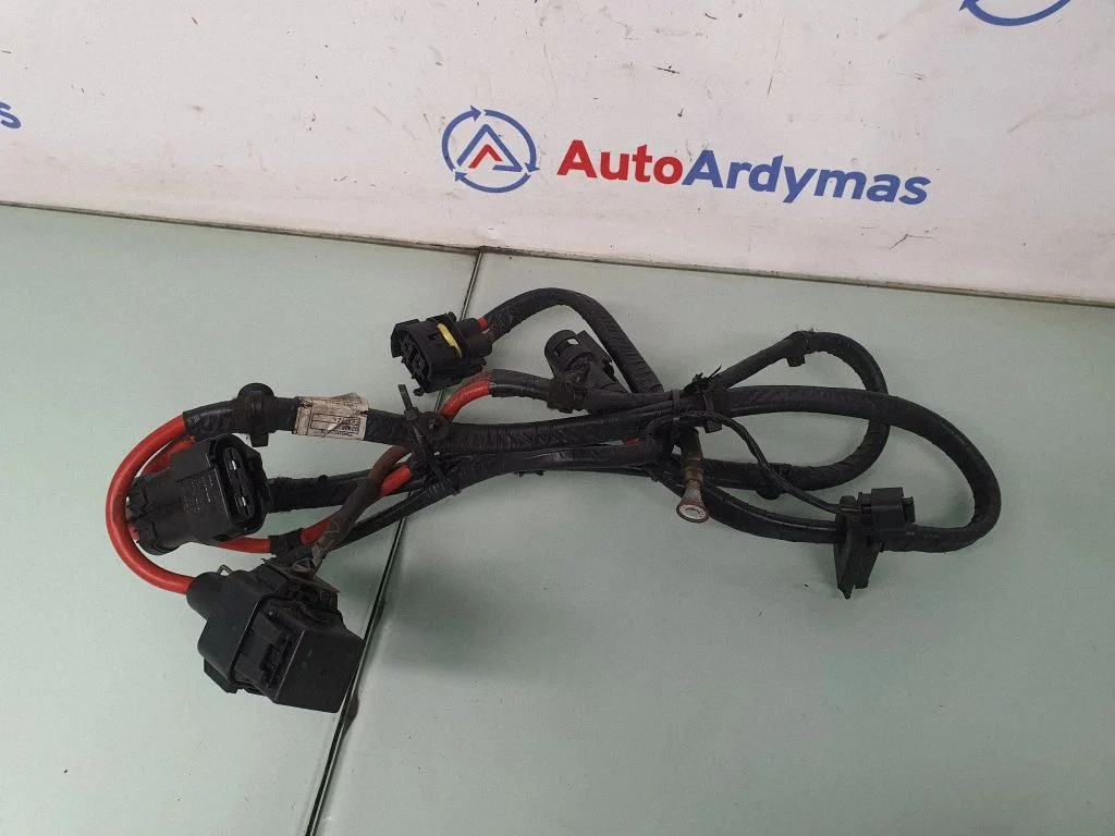 Other wiring loom 9243628