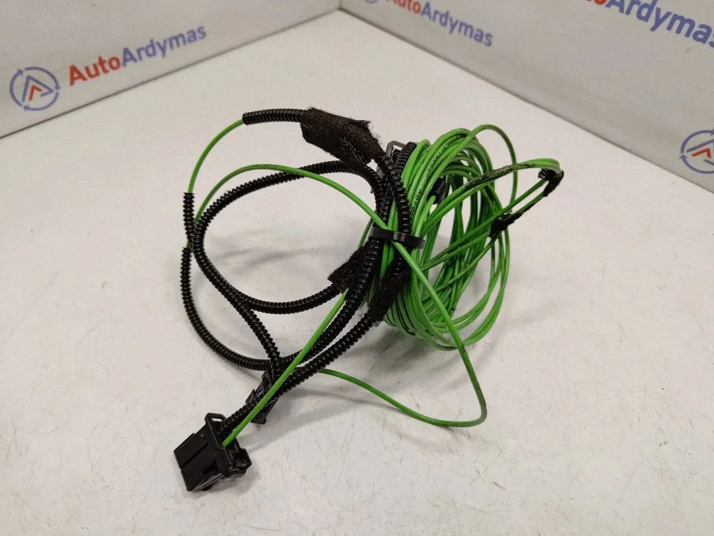 Other wiring loom