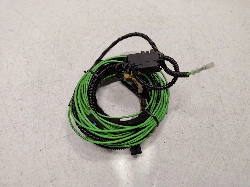 Other wiring loom
