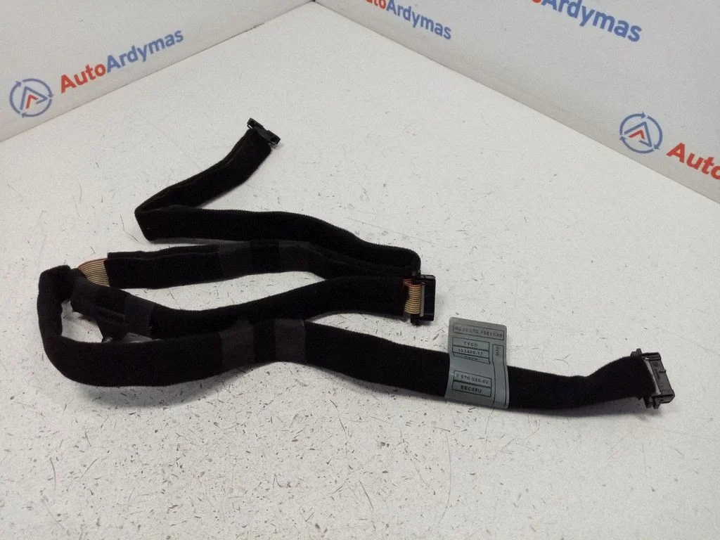 Other wiring loom 6970086