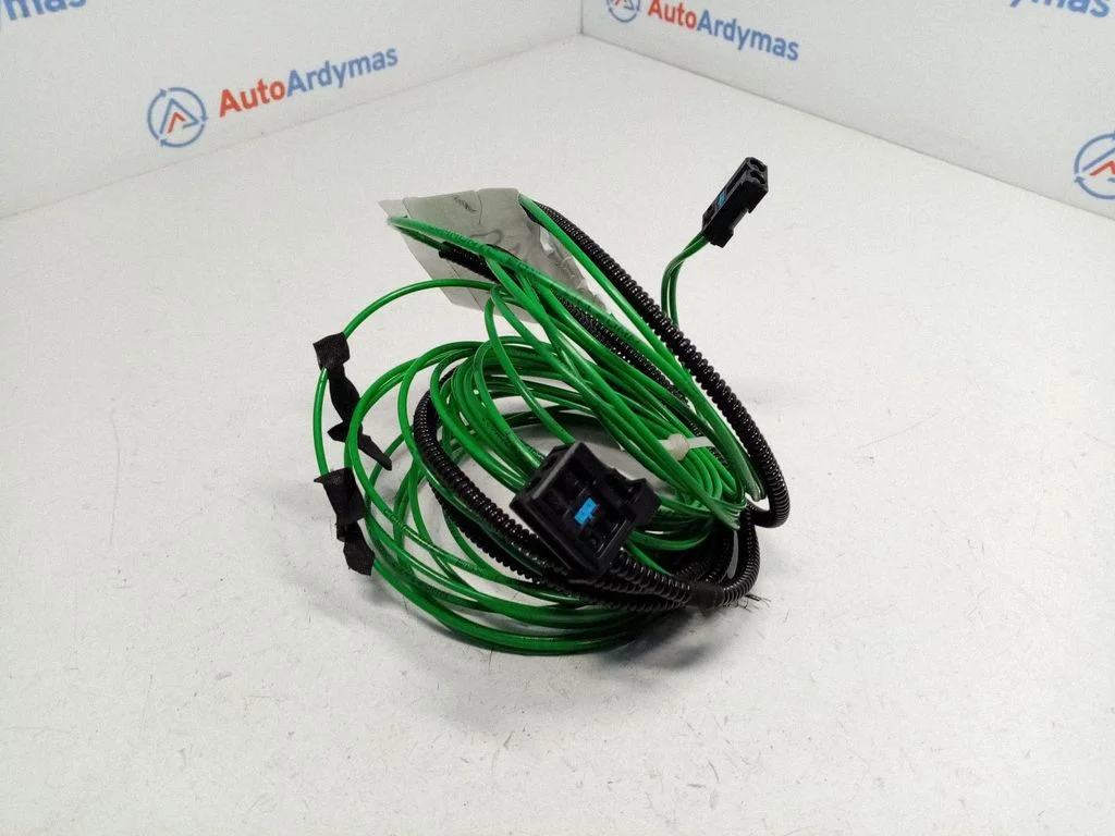 Other wiring loom
