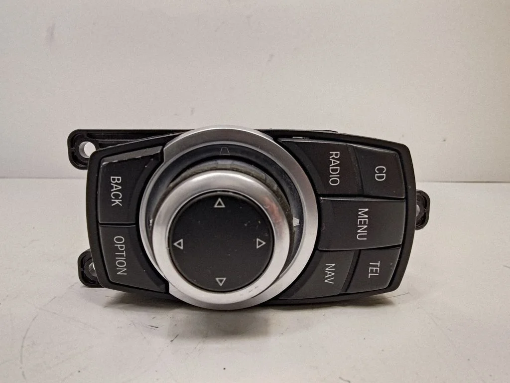 Head unit multimedia control 9206444