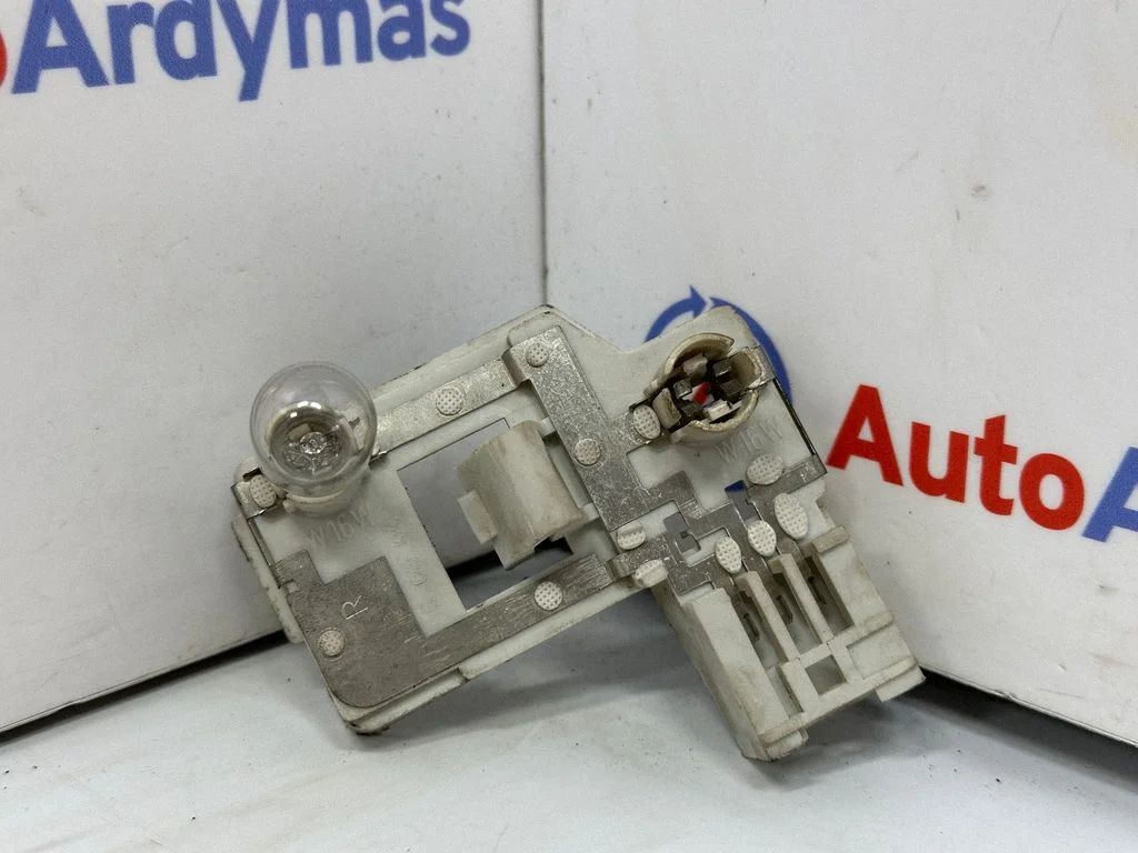 Tail light bulb cover holder 6935332