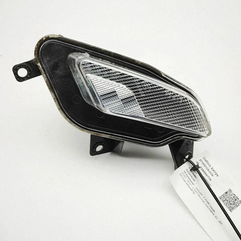 Aizmugurējais miglas lukturis EX5315K273CB