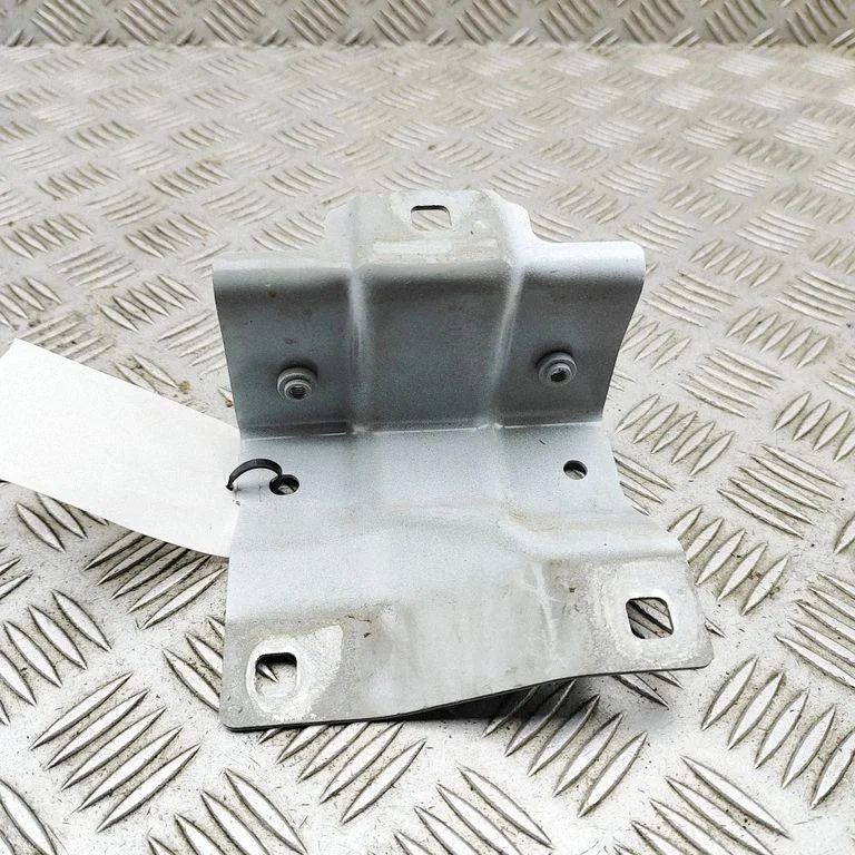 Front door check strap stopper 663514221R