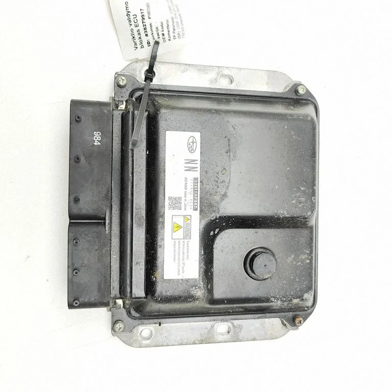 Dzinēja vadības bloks 2758009844