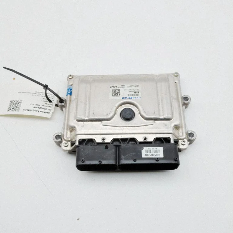 Engine control unit/module 397511XCE1