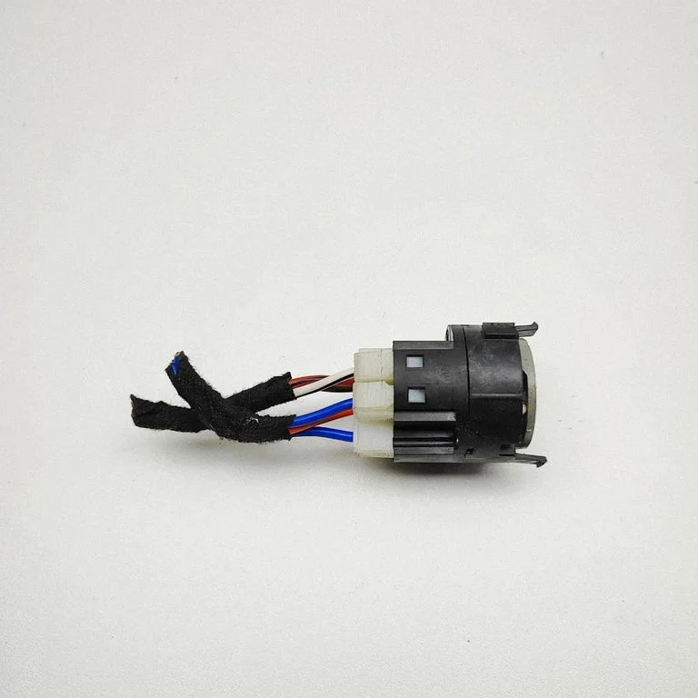 Ignition lock 1329316080