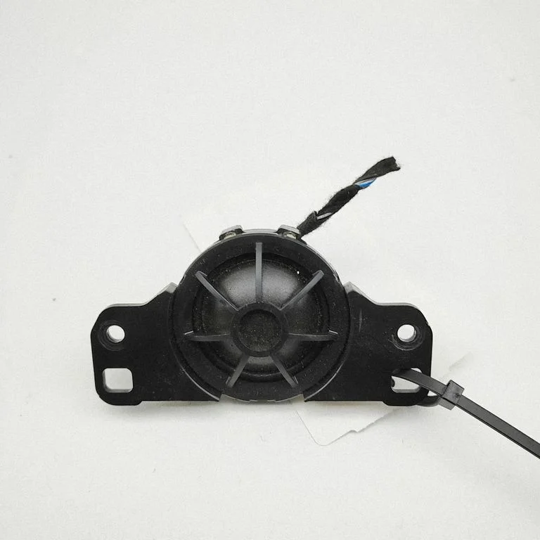 Panel speaker 4H0035399