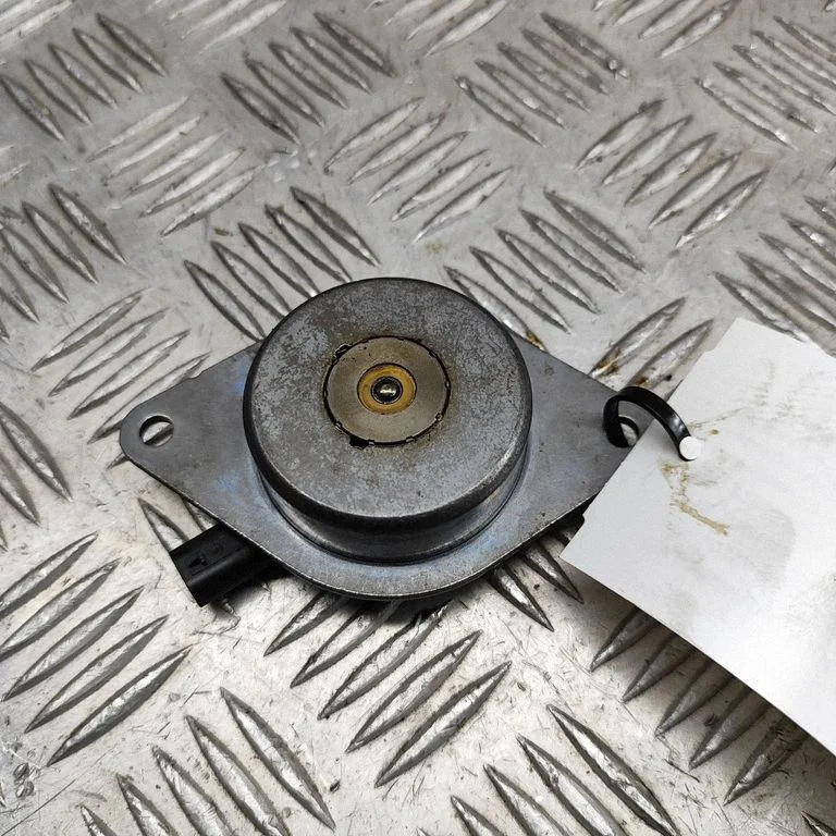 Sadales vārpstas skriemelis/ VANOS – Opel Astra H (2004-2012)