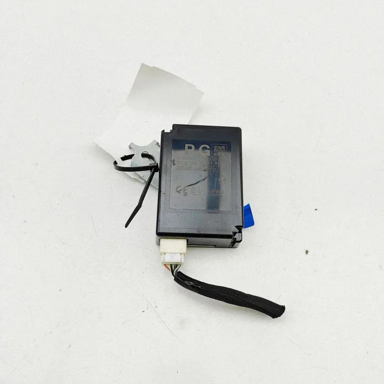Immobilizer control unit/module 2584007492
