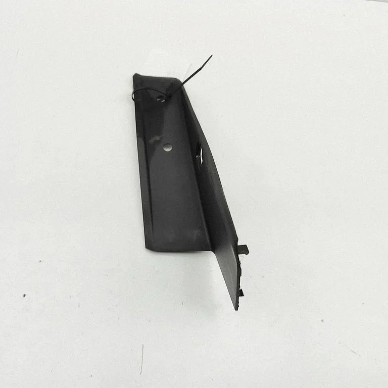 Rear/tail light trim molding 80007389