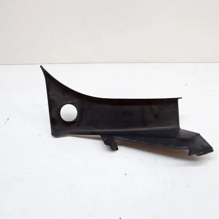 Rear/tail light trim molding 100667500G