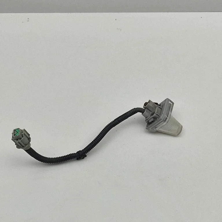 Numbrimärgi valgustus 266803NK0B – Nissan Leaf II (ZE1) (2017-2025)