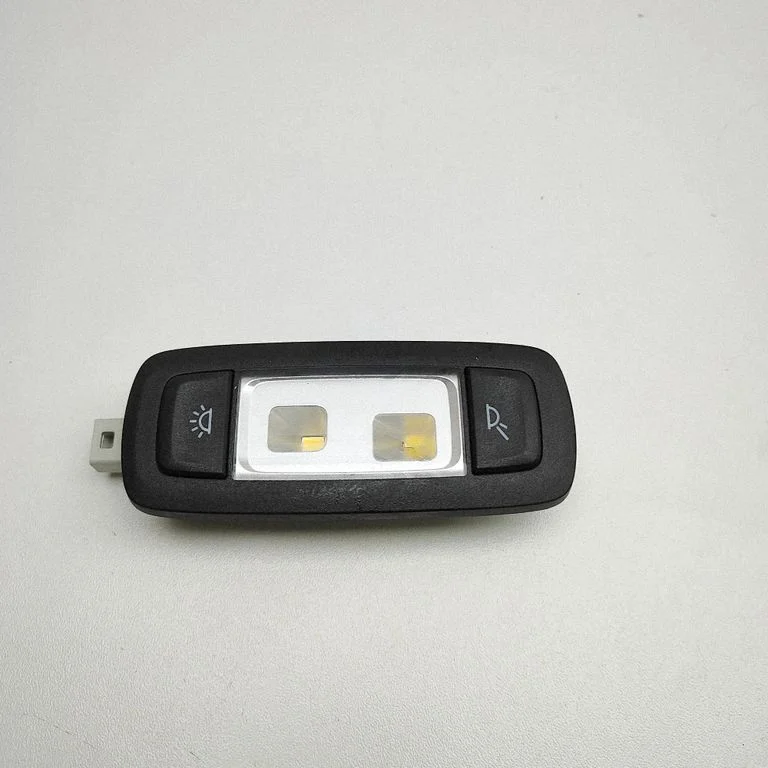 Front seat light – BMW iX3 G08 (2020-)