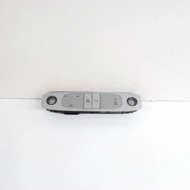 Front seat light 109257299C