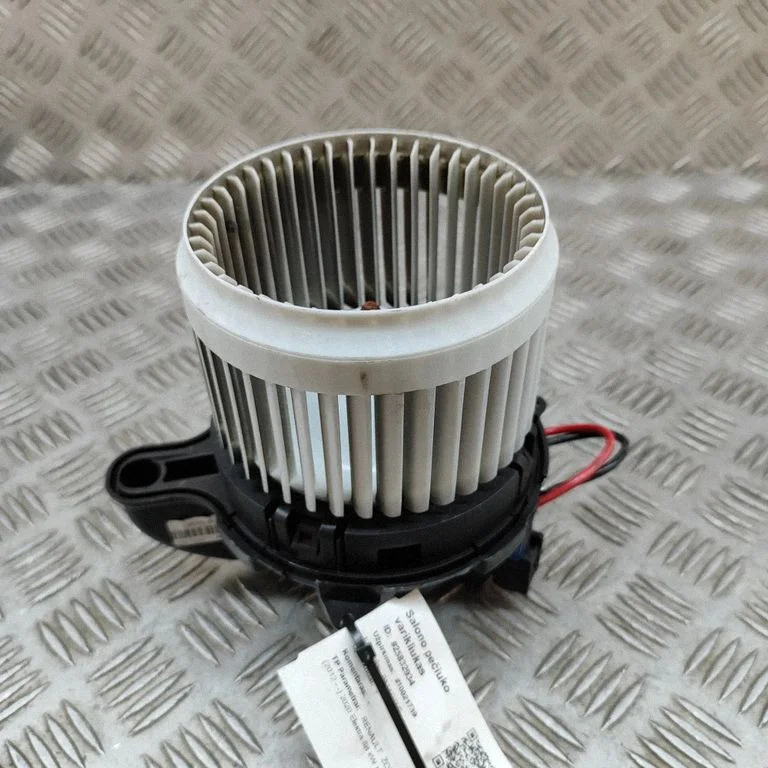 Krāsniņas ventilators/pūtējs – Renault Zoe (2012-)