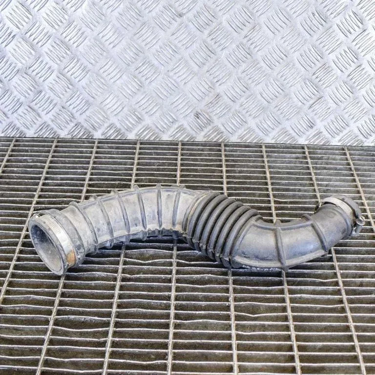 Õhu sisselaske voolik (-ud)/ toru (-d) 8200750731 – Renault Megane II (2006-2008)