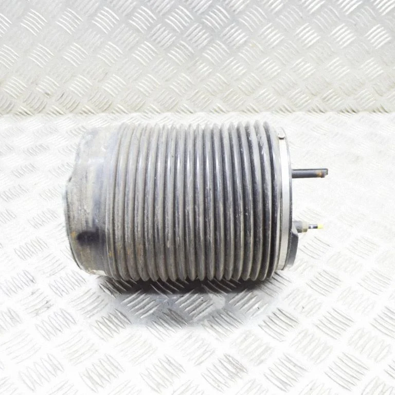 Rear air suspension bag/shock absorber P32246195