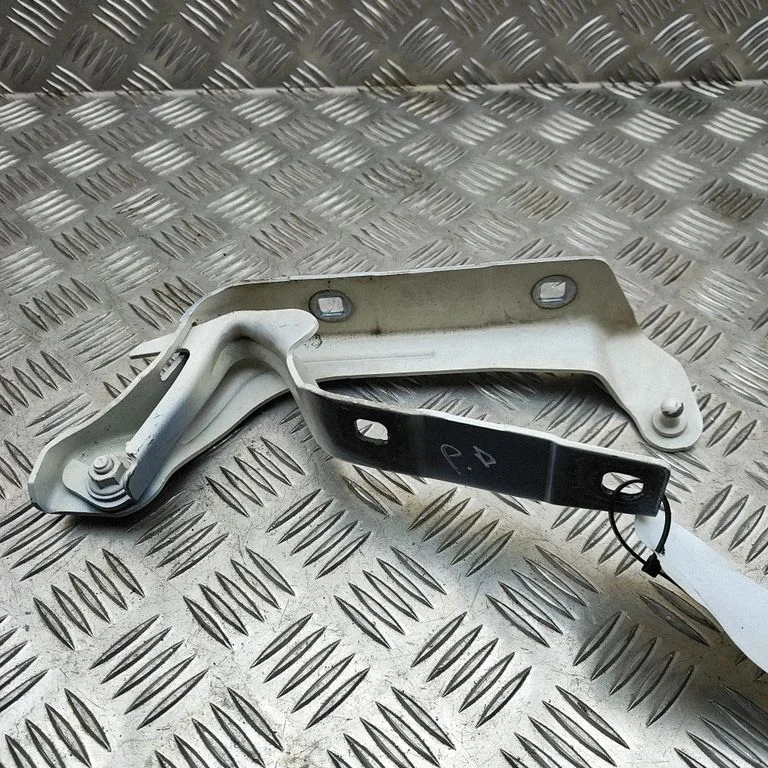 Zawiasy maski 670001872