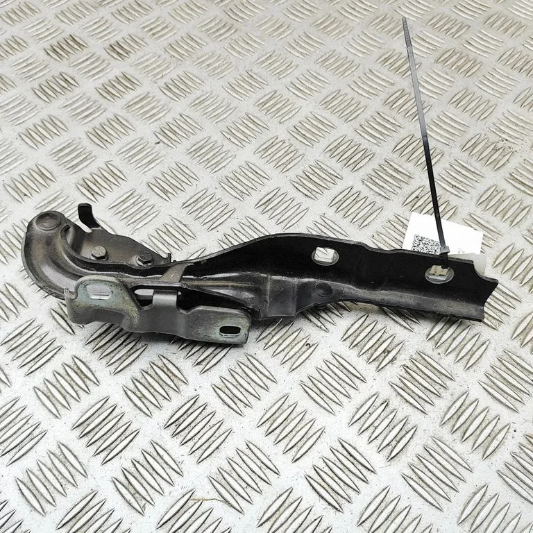 Motora pārsega eņģe (-es) 50519481