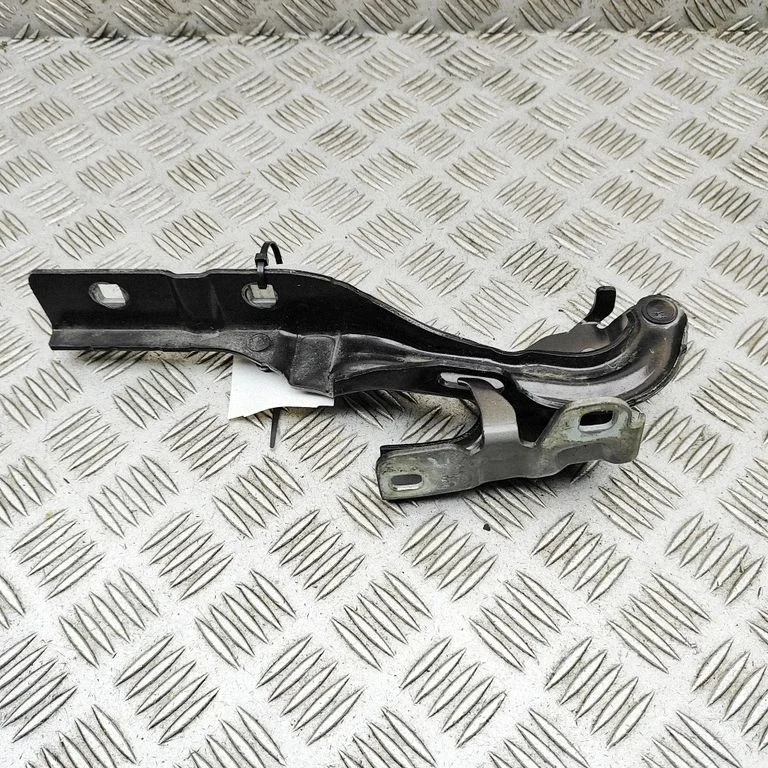 Motora pārsega eņģe (-es) 50519480