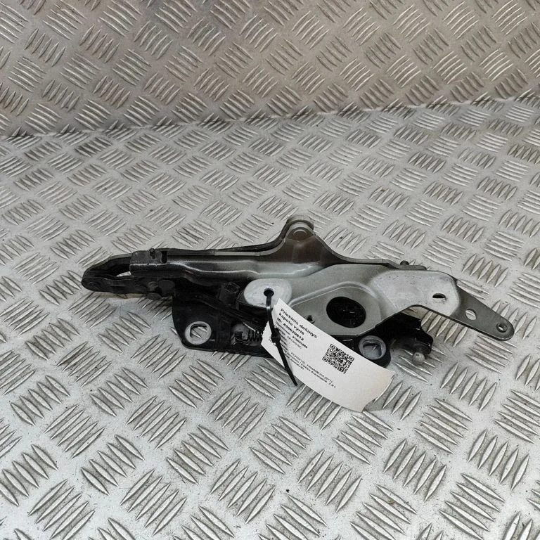 Motora pārsega eņģe (-es) 971823612