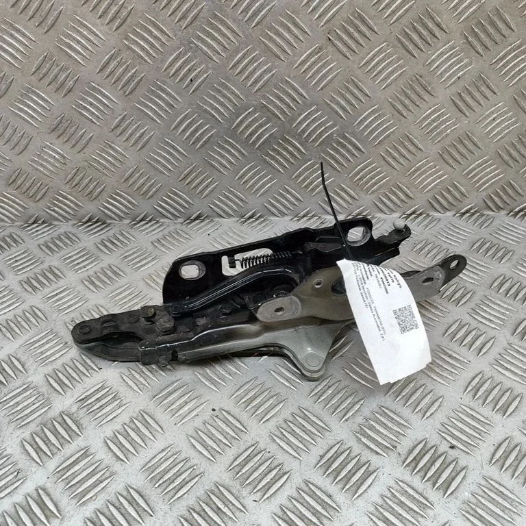 Motora pārsega eņģe (-es) 971823295B