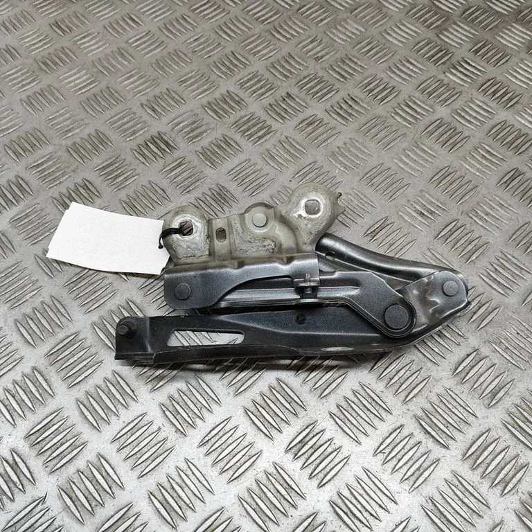 Motora pārsega eņģe (-es) 3V0823301