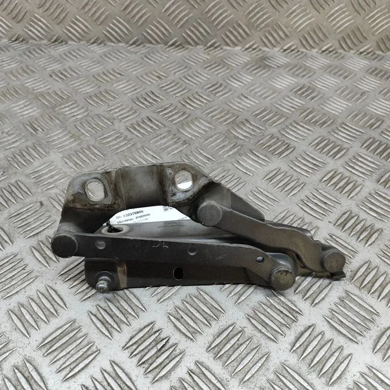 Motora pārsega eņģe (-es) 6H5216801AC