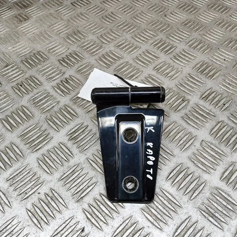 Motora pārsega eņģe (-es) 55395396AG