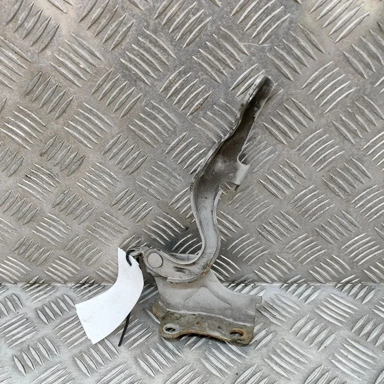 Motora pārsega eņģe (-es) 791104H000