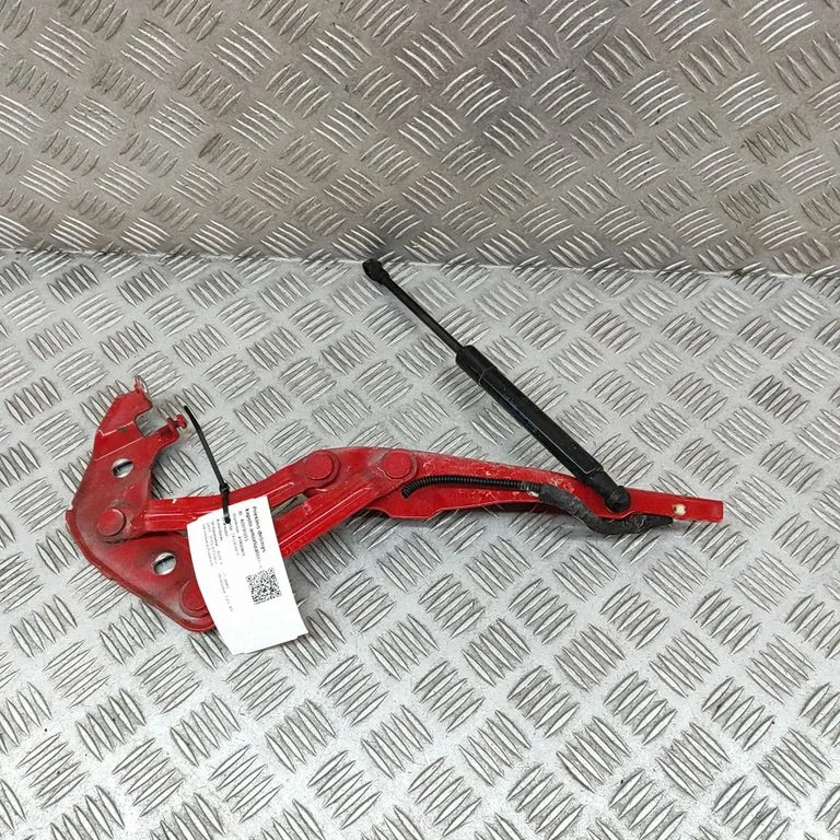 Vyris (-iai) variklio dangčio